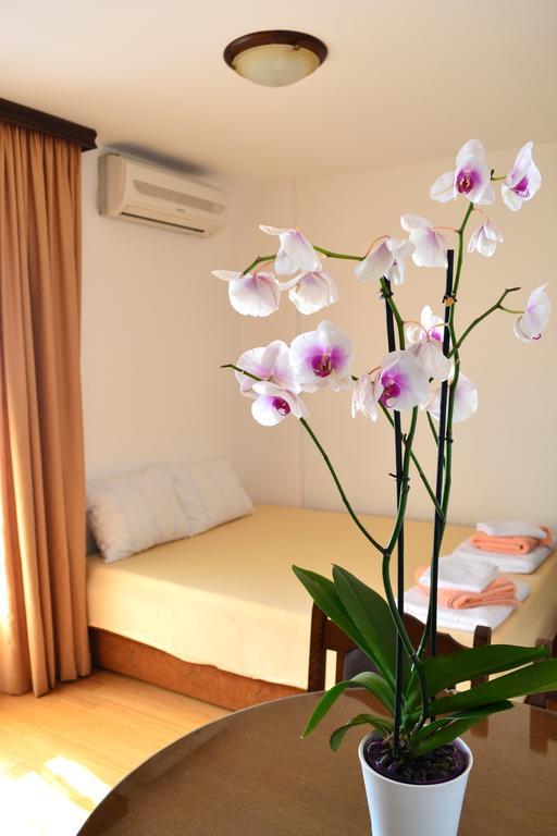 Apartment Matea Petrovac Kültér fotó