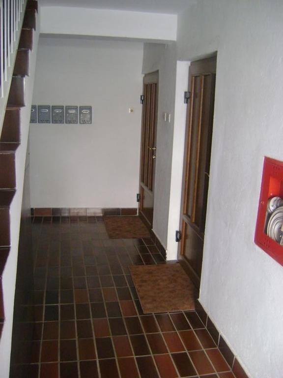 Apartment Matea Petrovac Kültér fotó